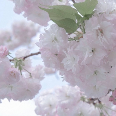 Furry插画元素灵感兽圈社群